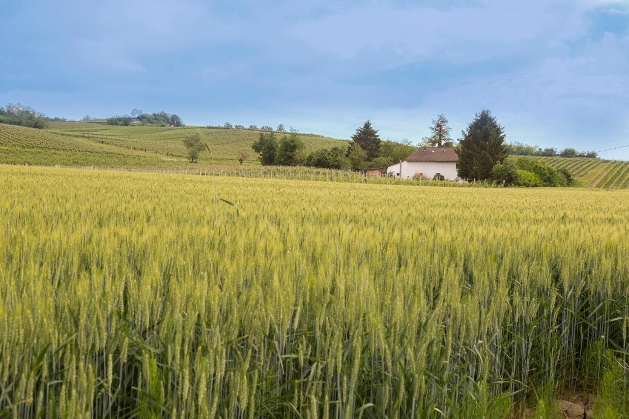 Villa White Tail Organic Farm Orsara Bormida Esterno foto