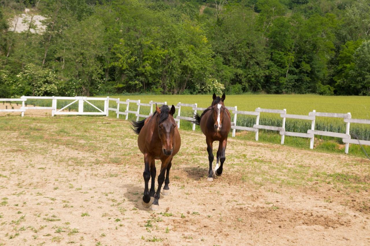 Villa White Tail Organic Farm Orsara Bormida Esterno foto